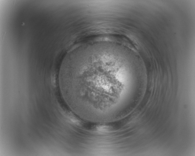 X0000068850268200605051220