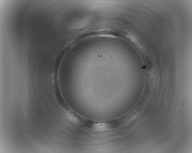 X0000068850269200605051220