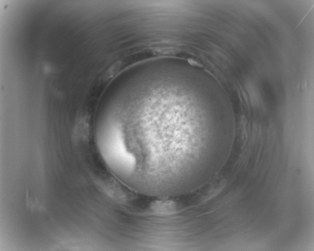 X0000068850271200605051220