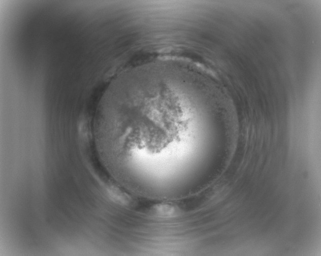 X0000068850272200605051220