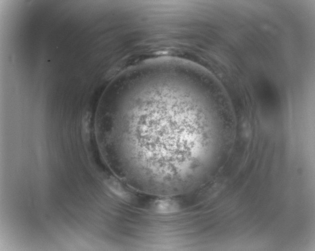 X0000068850275200605051220