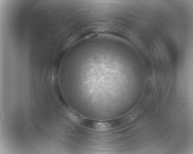 X0000068850277200605051220