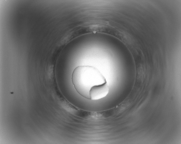 X0000068850278200605051220