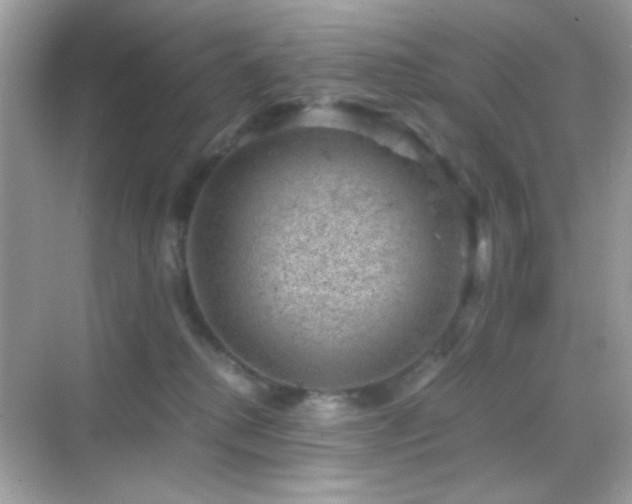 X0000068850280200605051220