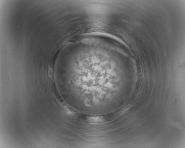 X0000068850281200605051220