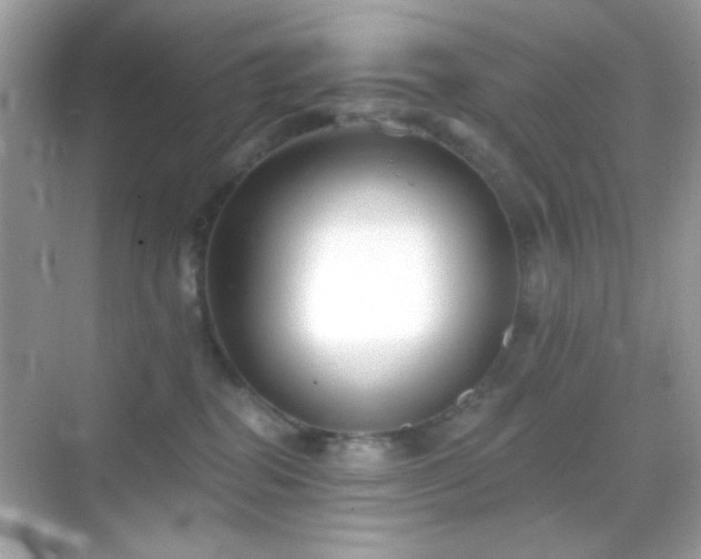 X0000068850282200605051220