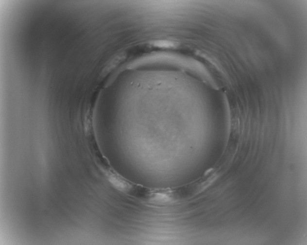 X0000068850285200605051221