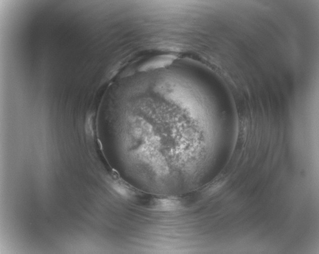 X0000068850286200605051221