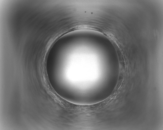 X0000068850289200605051220