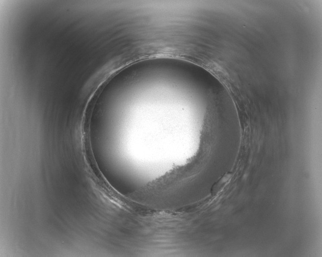 X0000068850290200605051220