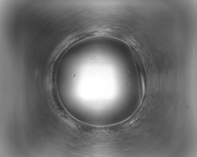 X0000068850291200605051220