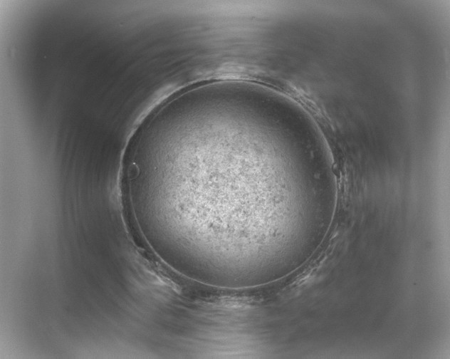 X0000068850292200605051220