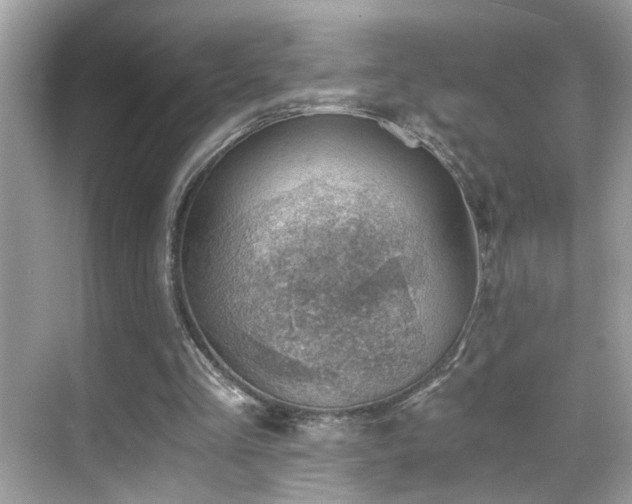 X0000068850293200605051220