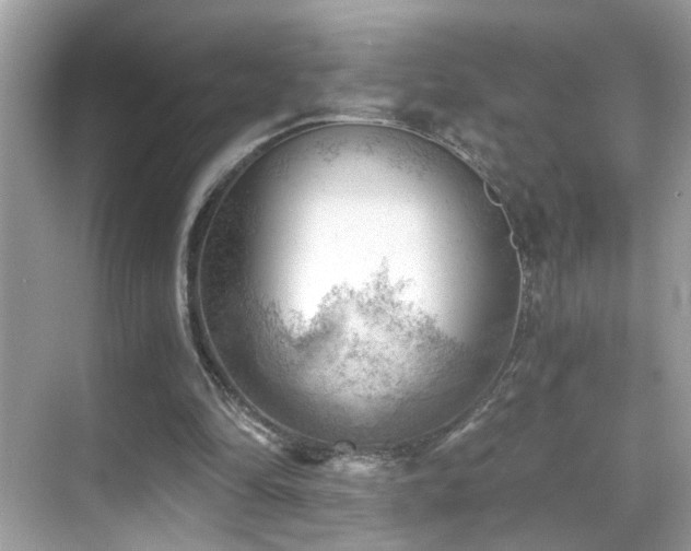 X0000068850294200605051220