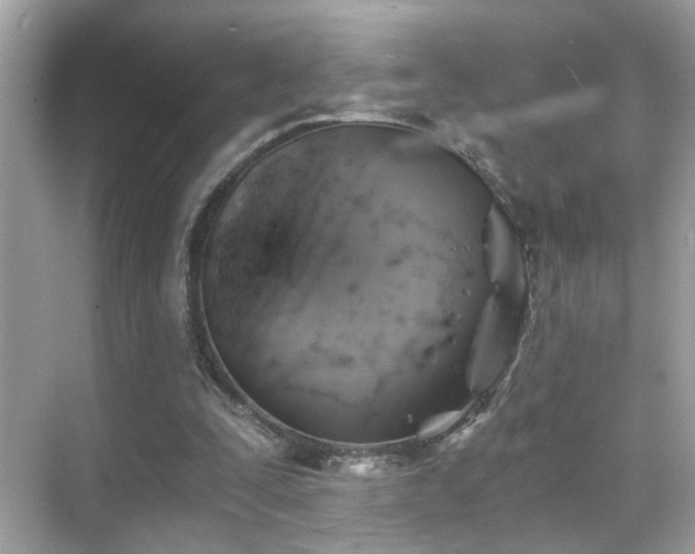 X0000068850295200605051220