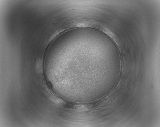 X0000068850297200605051220