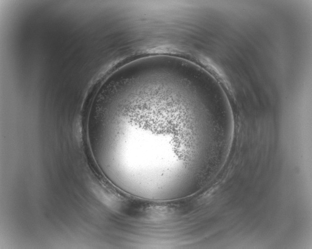 X0000068850298200605051220