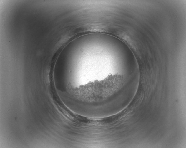 X0000068850299200605051220