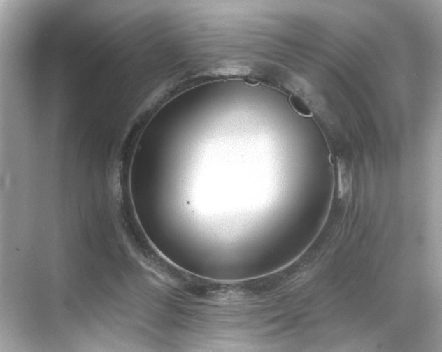 X0000068850300200605051220