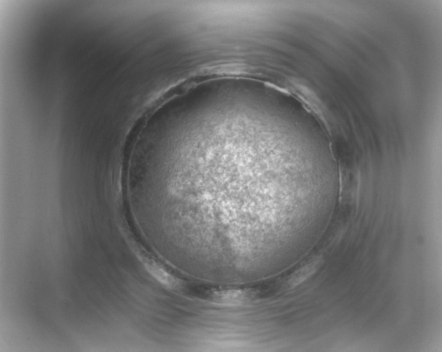 X0000068850301200605051220