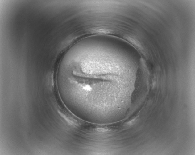 X0000068850302200605051220