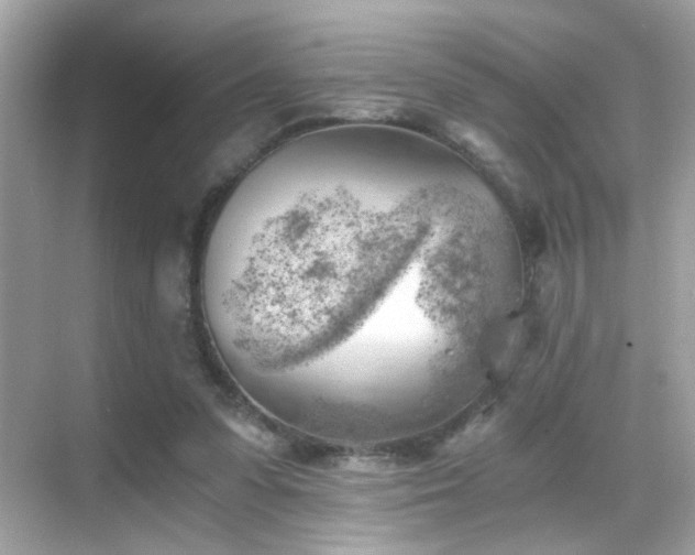 X0000068850303200605051220