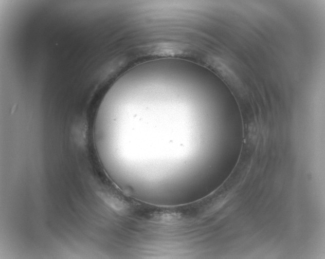 X0000068850304200605051220