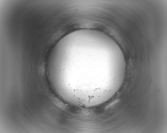 X0000068850305200605051219