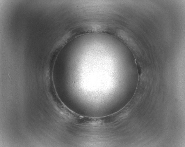 X0000068850306200605051219