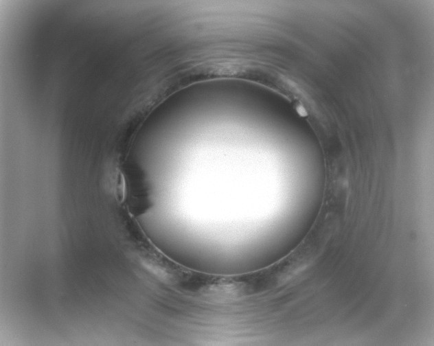 X0000068850307200605051219