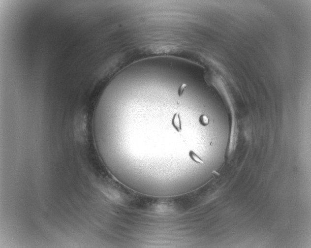 X0000068850308200605051219