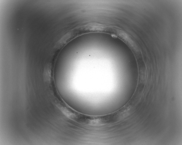 X0000068850309200605051219