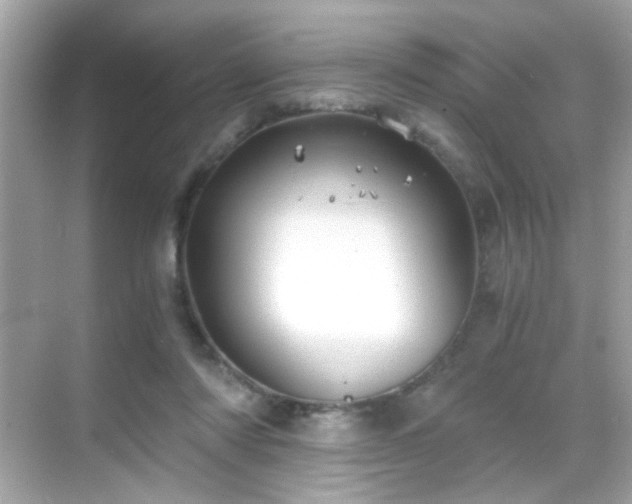 X0000068850310200605051219