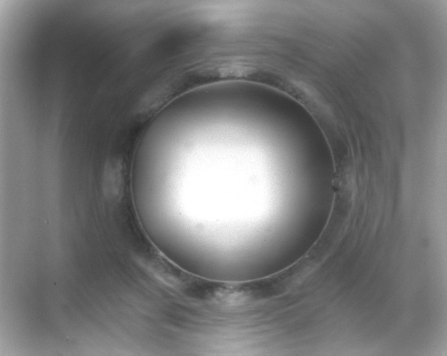 X0000068850311200605051219