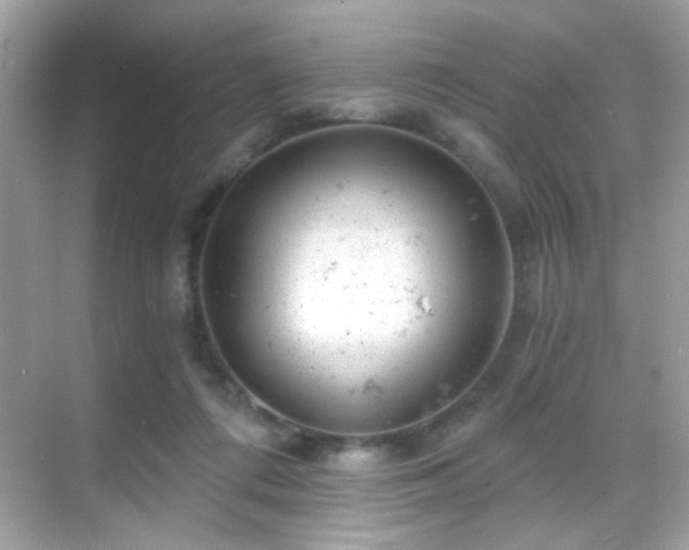 X0000068850312200605051219