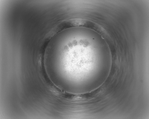 X0000068850315200605051219