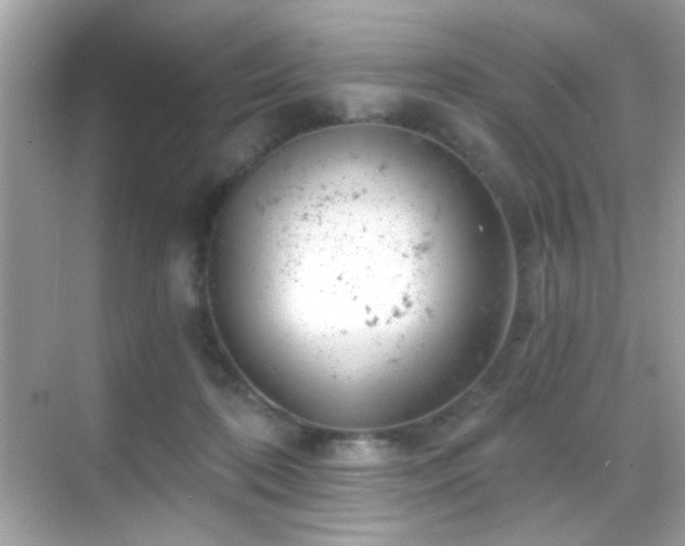 X0000068850316200605051219