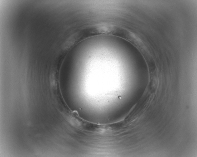 X0000068850317200605051219