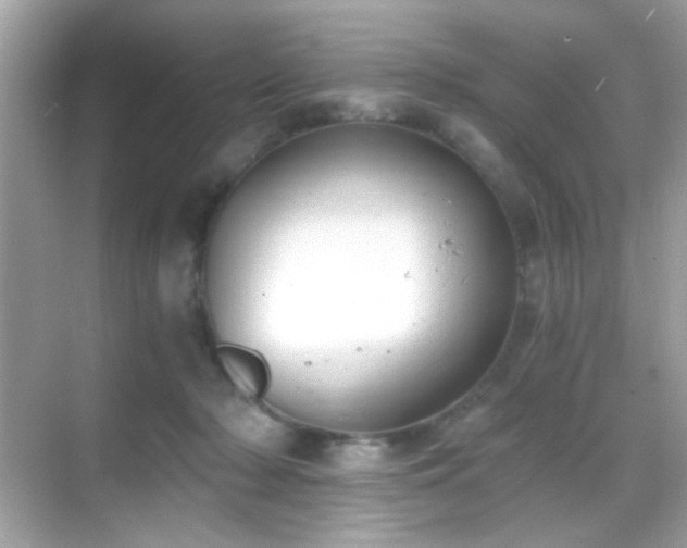 X0000068850318200605051219