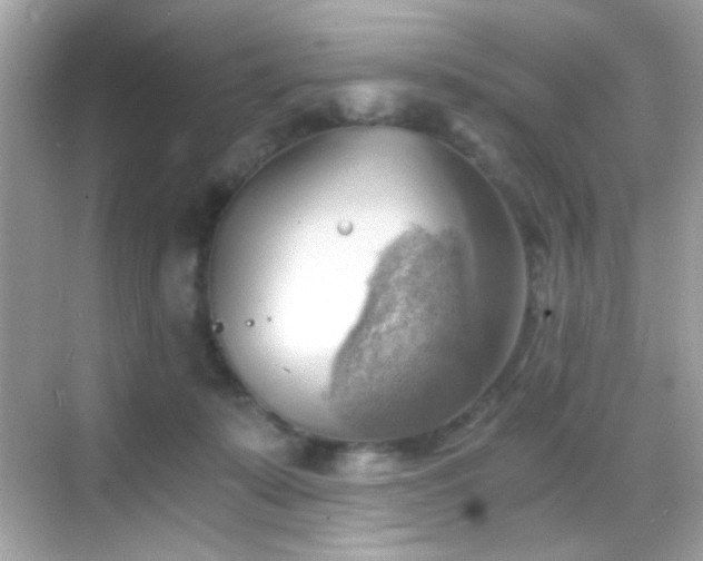 X0000068850319200605051219