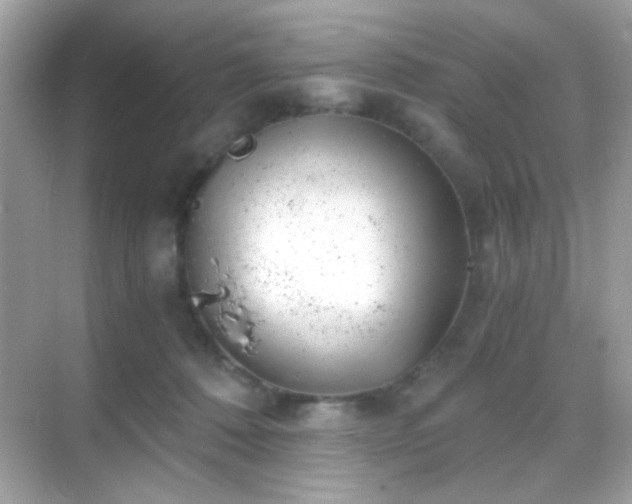 X0000068850320200605051219