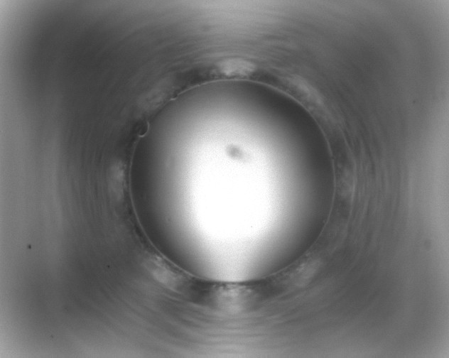 X0000068850321200605051219