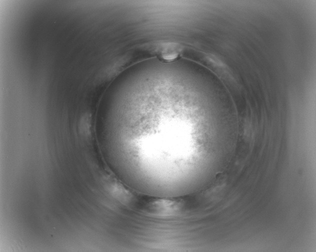 X0000068850326200605051219