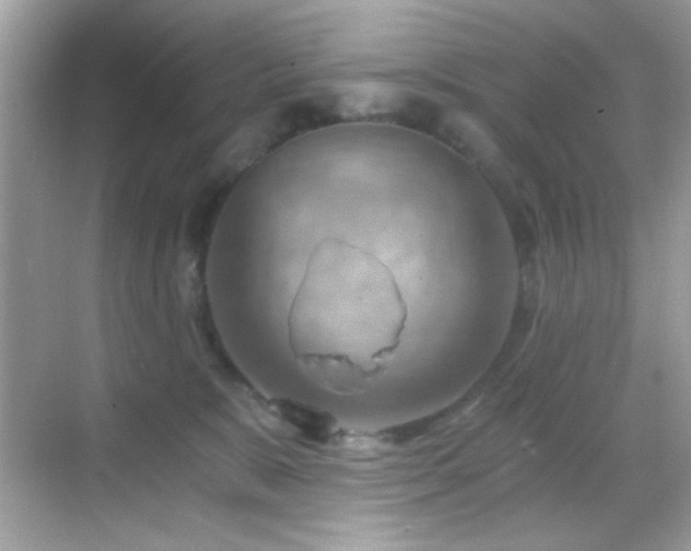 X0000068850327200605051219