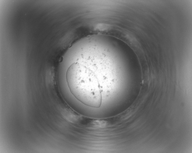 X0000068850328200605051219