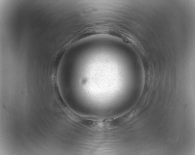 X0000068850329200605051219