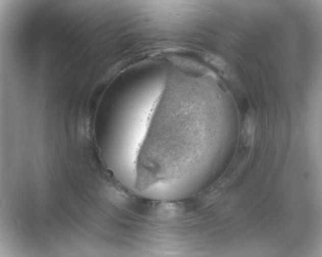 X0000068850330200605051219