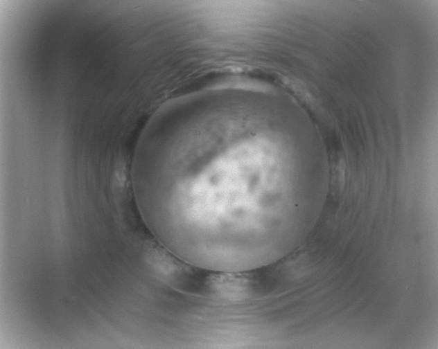 X0000068850331200605051219