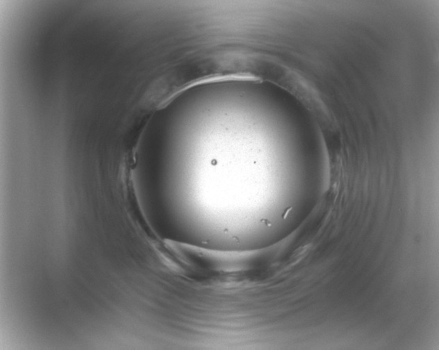 X0000068850333200605051219