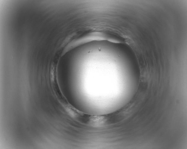 X0000068850334200605051219